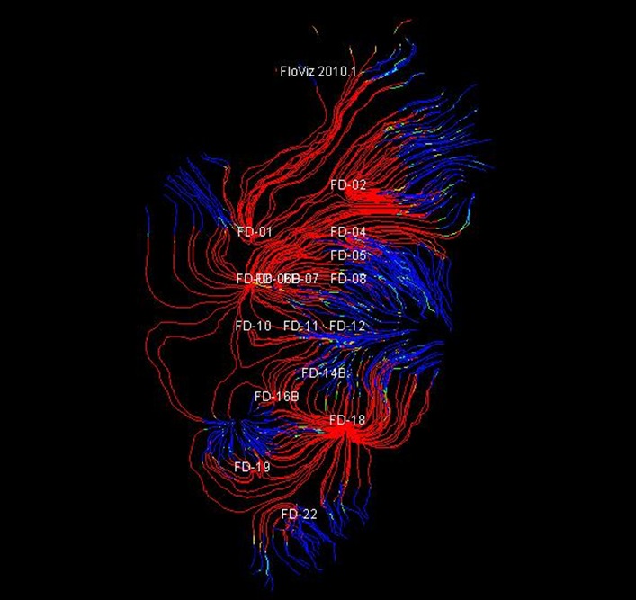 Visualización de simulación numérica